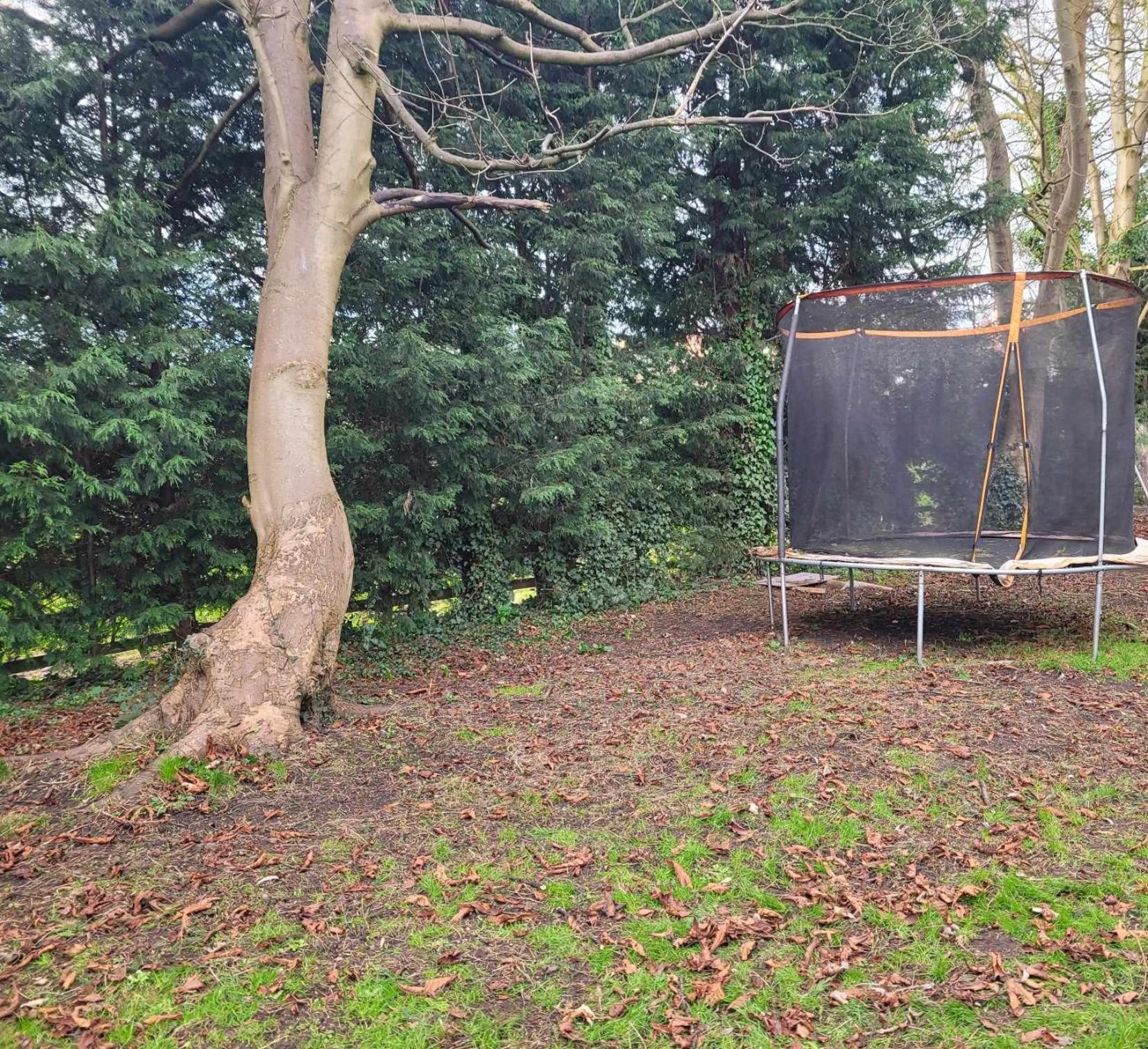 17Th-Century One Bed Studio With Parking & Garden! Elkesley Luaran gambar